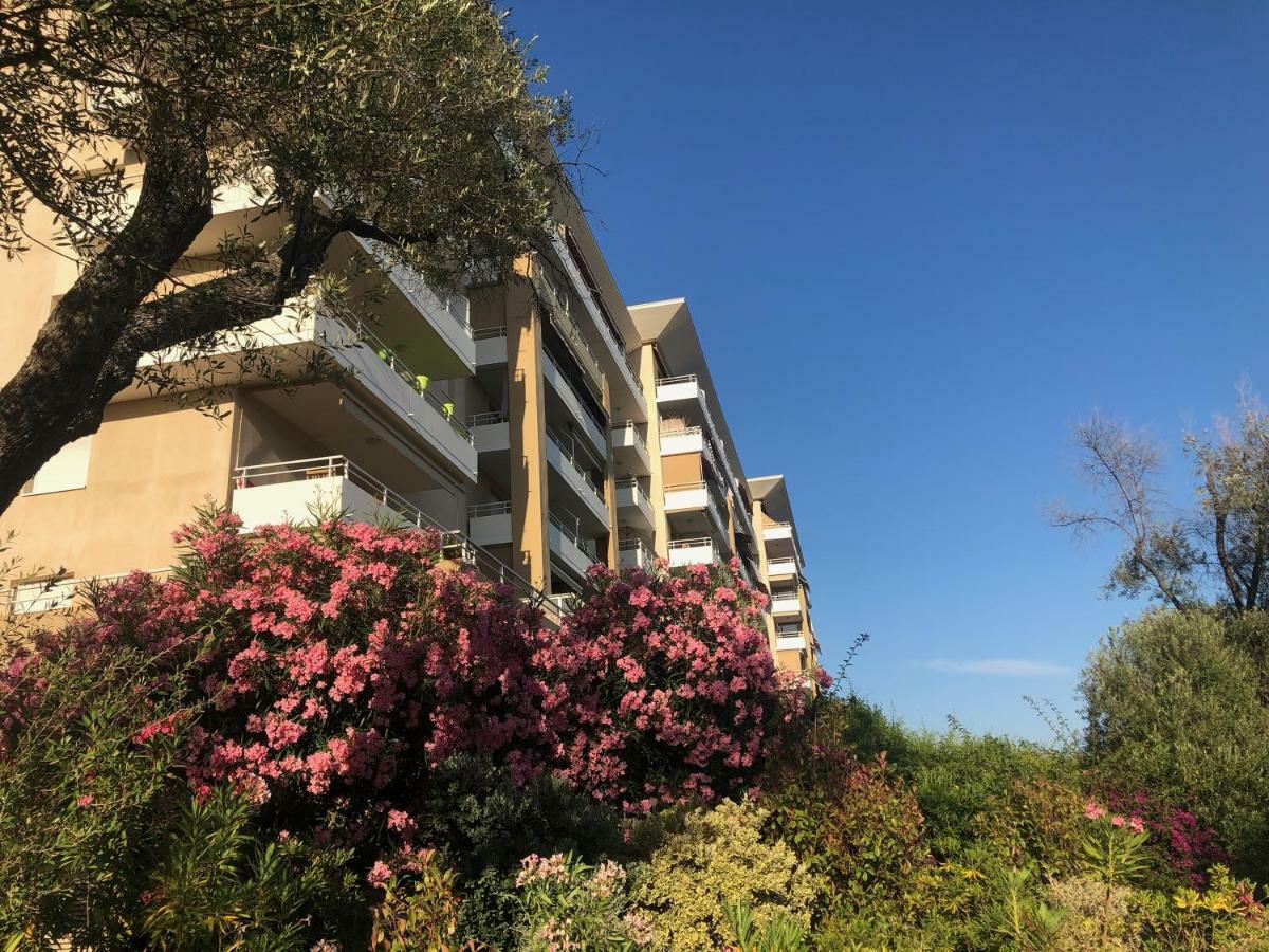 Superbe 3 Etoiles Ajaccio Debut Sanguinaires