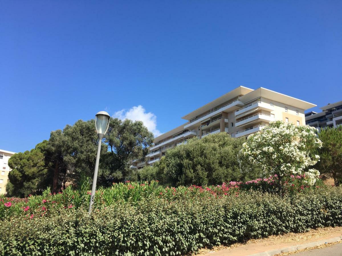 Superbe 3 Etoiles Ajaccio Debut Sanguinaires